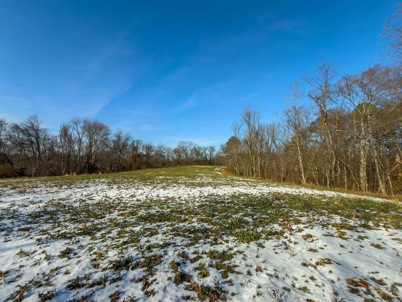 5230 Null Road, Coolville, OH 45723 Photo 27