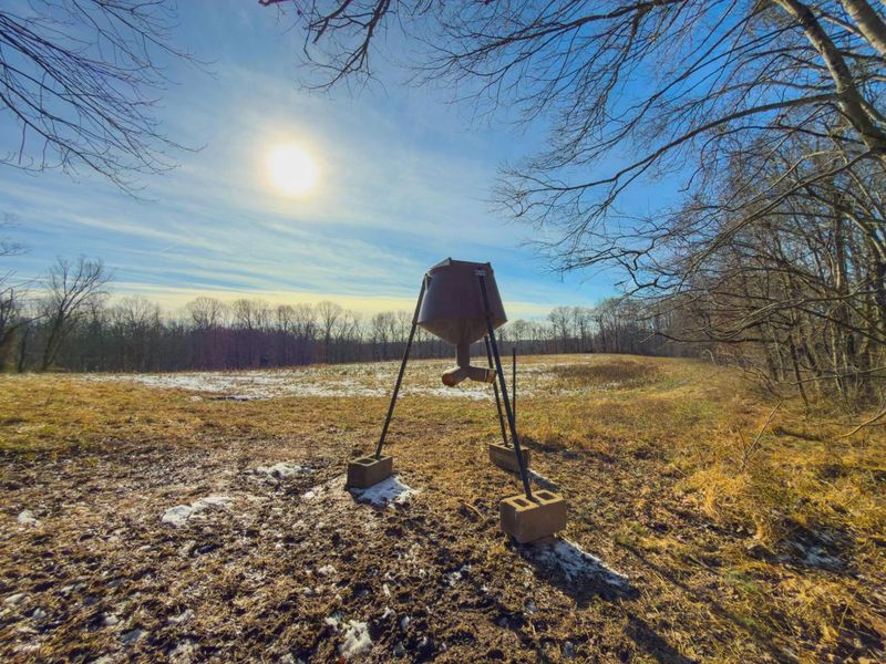 5230 Null Road, Coolville, OH 45723 Photo 32