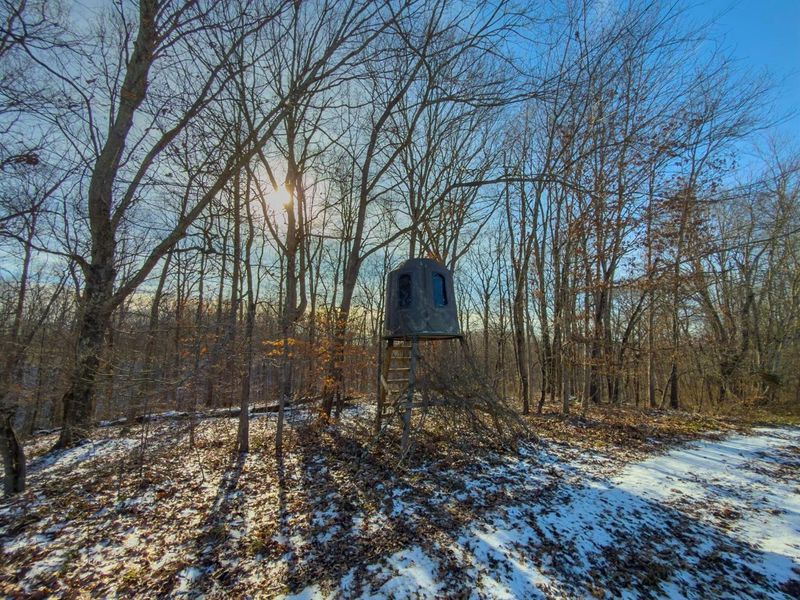 5230 Null Road, Coolville, OH 45723 Photo 34