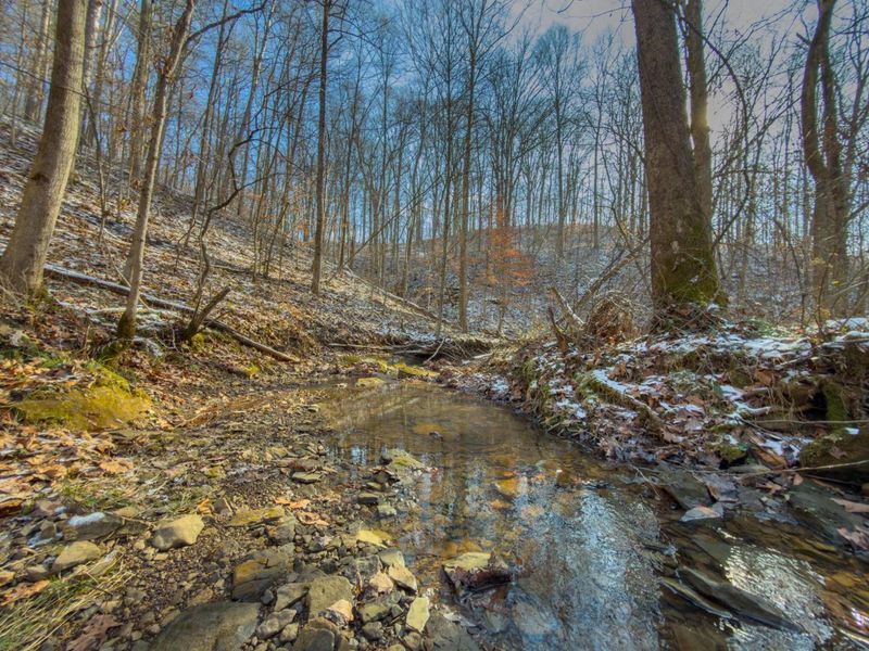 5230 Null Road, Coolville, OH 45723 Photo 37