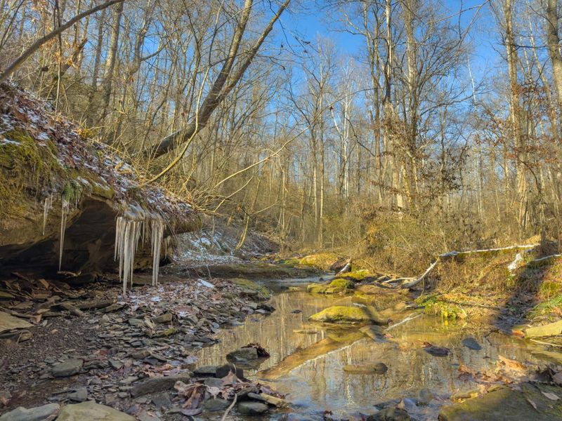 5230 Null Road, Coolville, OH 45723 Photo 38