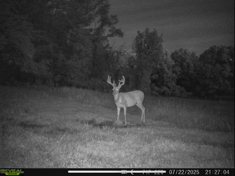 5230 Null Road, Coolville, OH 45723 Photo 40