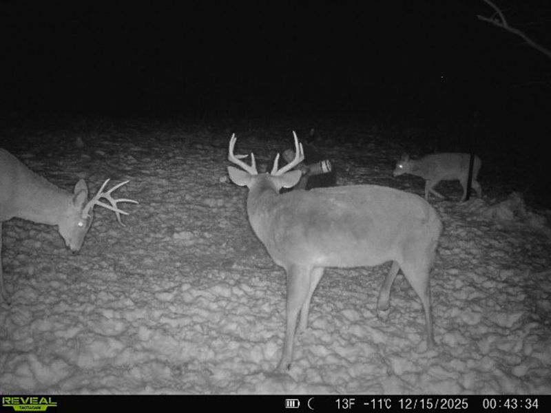 5230 Null Road, Coolville, OH 45723 Photo 41