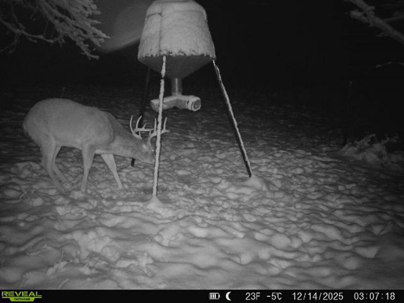 5230 Null Road, Coolville, OH 45723 Photo 42