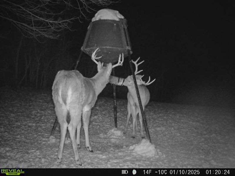 5230 Null Road, Coolville, OH 45723 Photo 45