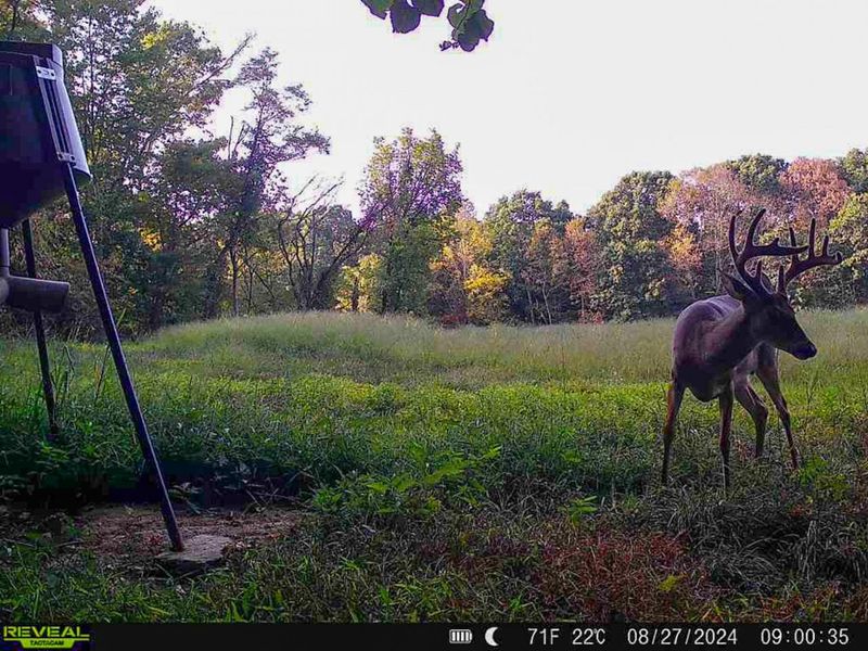 5230 Null Road, Coolville, OH 45723 Photo 47