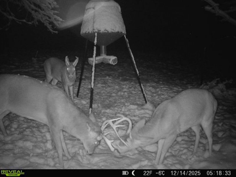 5230 Null Road, Coolville, OH 45723 Photo 5