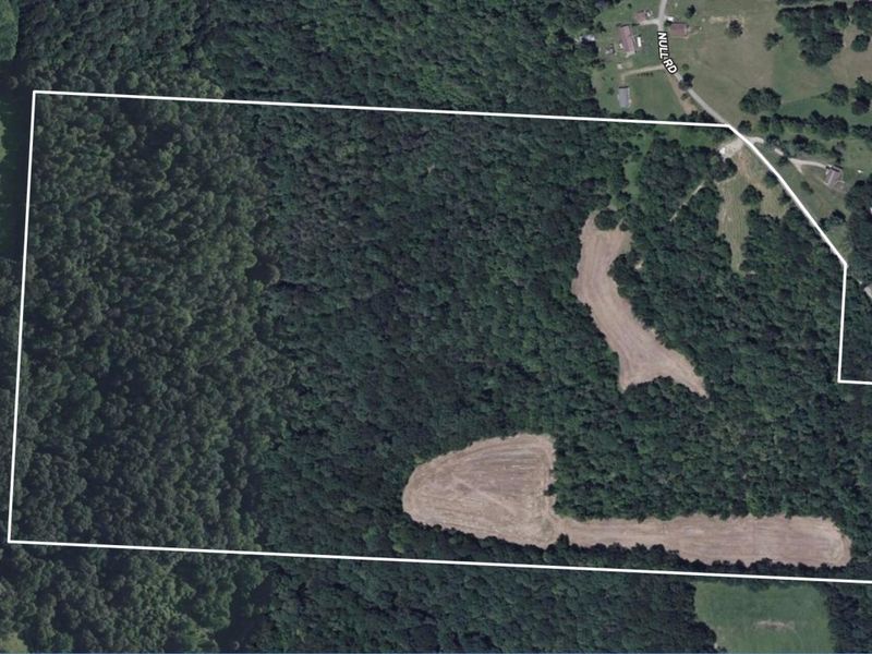 5230 Null Road, Coolville, OH 45723 Photo 51