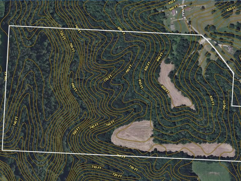 5230 Null Road, Coolville, OH 45723 Photo 53