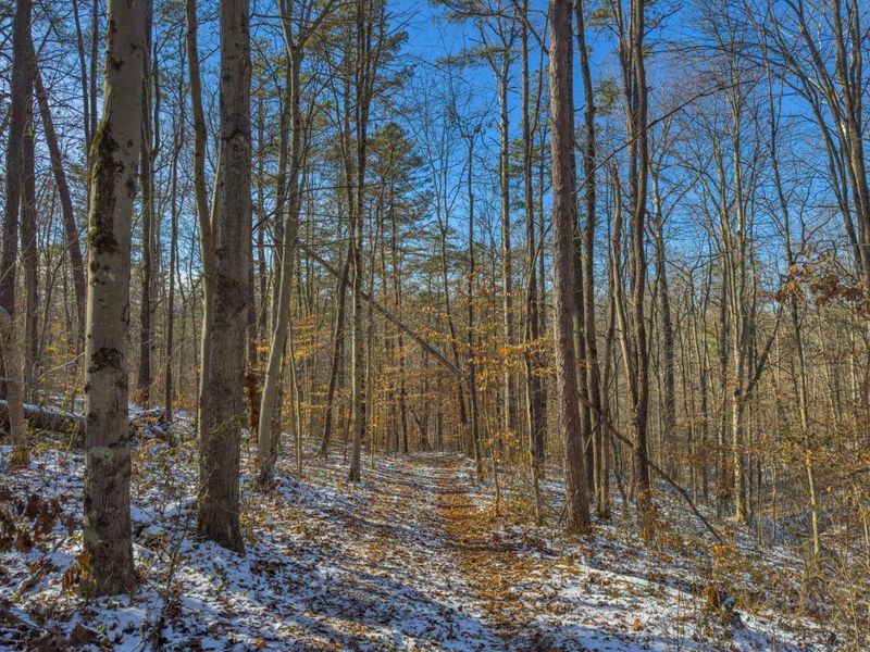 5230 Null Road, Coolville, OH 45723 Photo 9