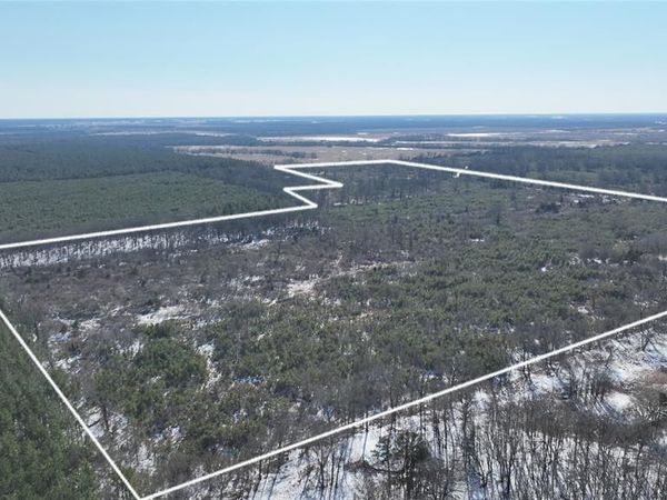 TBD County Rd 2242 S., Bagwell, TX 75412