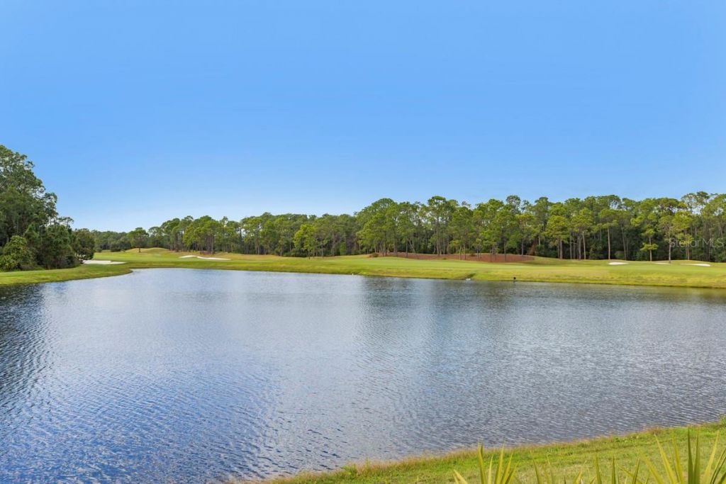 10024 Enchanted Oak Drive, Golden Oak, FL 32836 Photo