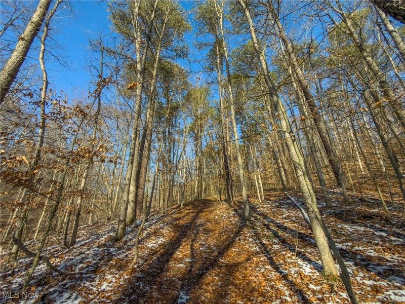 5230 Null Road, Coolville, OH 45723 Photo 10