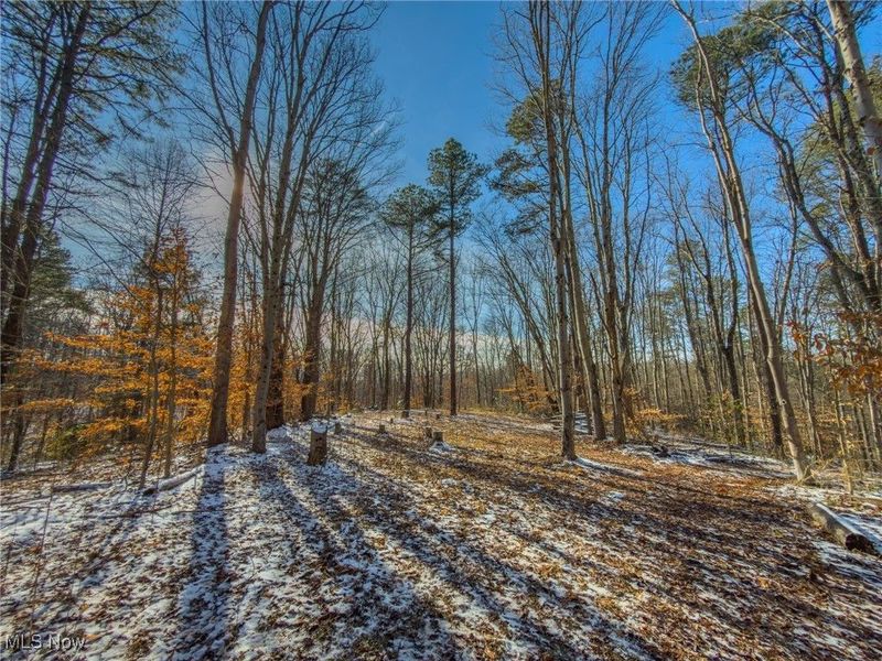 5230 Null Road, Coolville, OH 45723 Photo 11