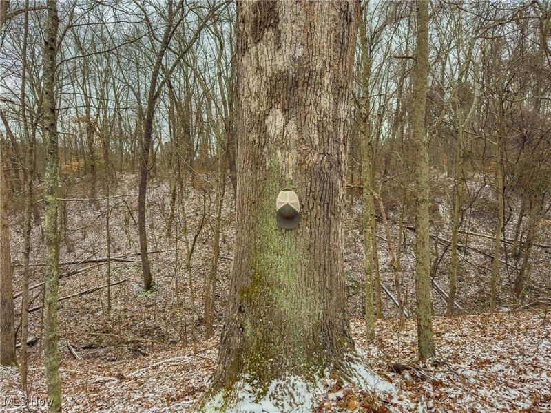 5230 Null Road, Coolville, OH 45723 Photo 12