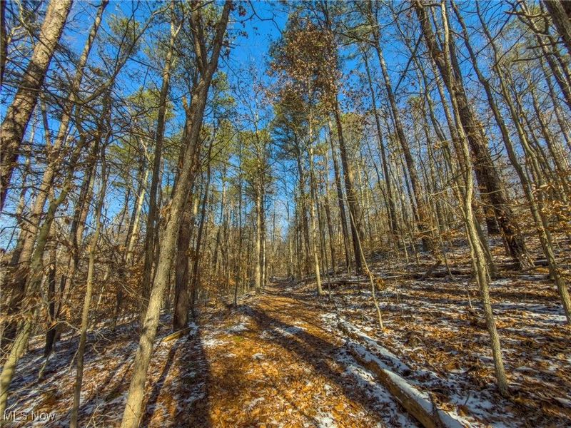 5230 Null Road, Coolville, OH 45723 Photo 13