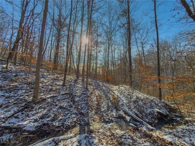 5230 Null Road, Coolville, OH 45723 Photo 17