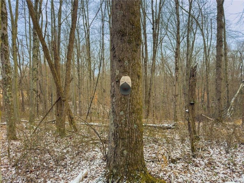 5230 Null Road, Coolville, OH 45723 Photo 18