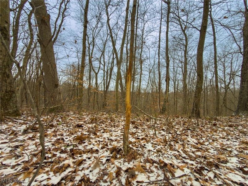 5230 Null Road, Coolville, OH 45723 Photo 19