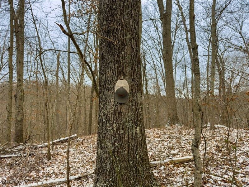 5230 Null Road, Coolville, OH 45723 Photo 23