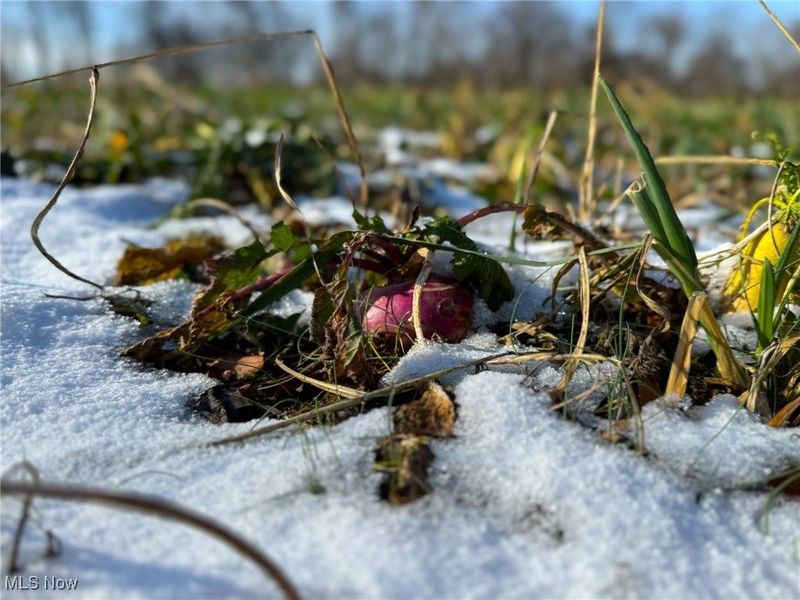 5230 Null Road, Coolville, OH 45723 Photo 25