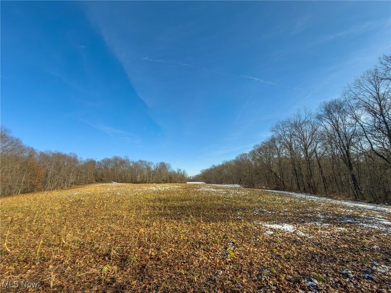 5230 Null Road, Coolville, OH 45723 Photo 32