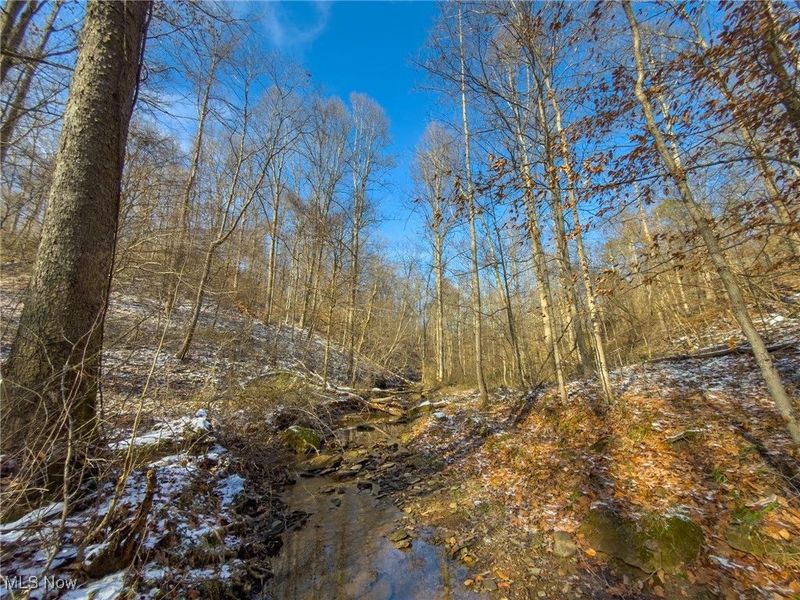 5230 Null Road, Coolville, OH 45723 Photo 34