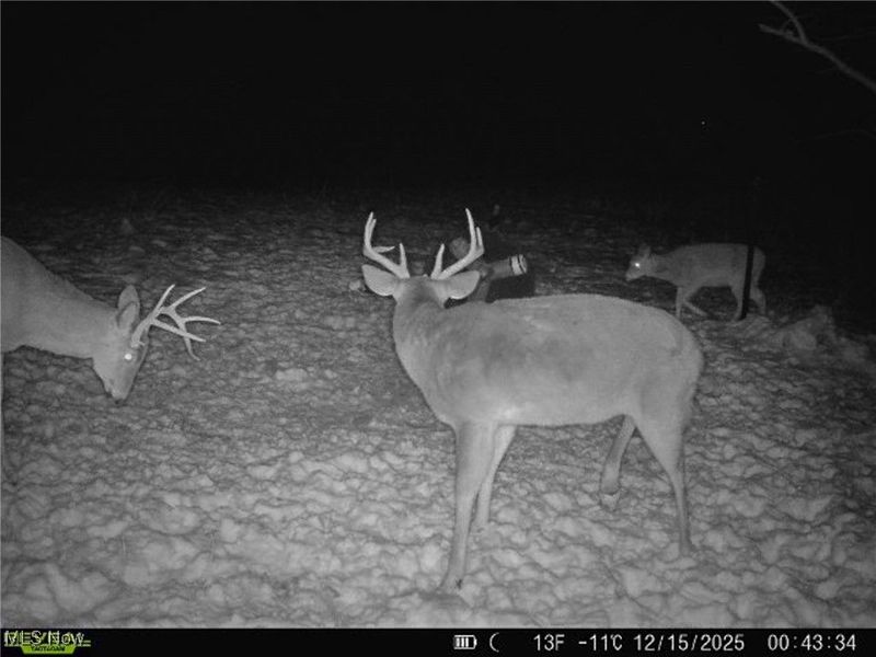 5230 Null Road, Coolville, OH 45723 Photo 39