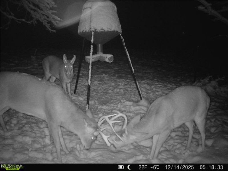 5230 Null Road, Coolville, OH 45723 Photo 4