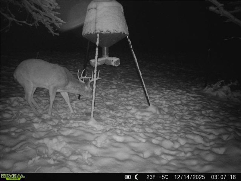 5230 Null Road, Coolville, OH 45723 Photo 40