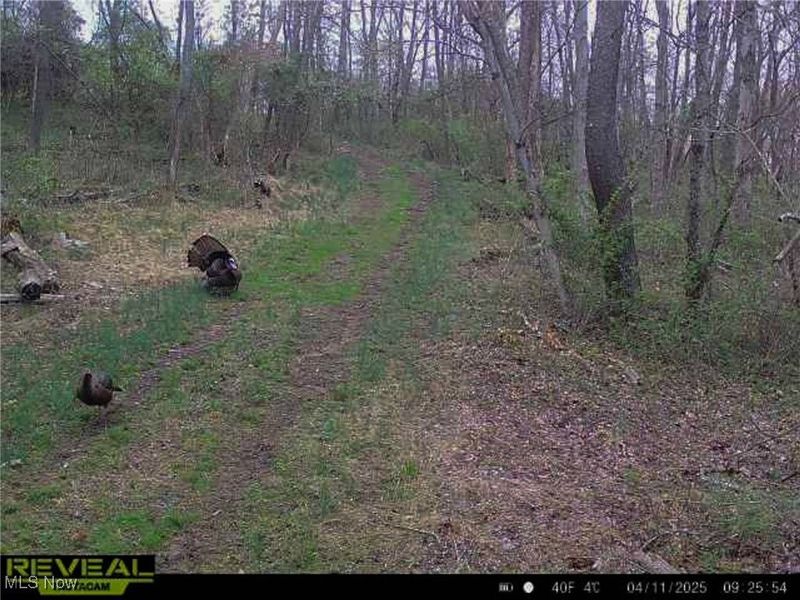 5230 Null Road, Coolville, OH 45723 Photo 41