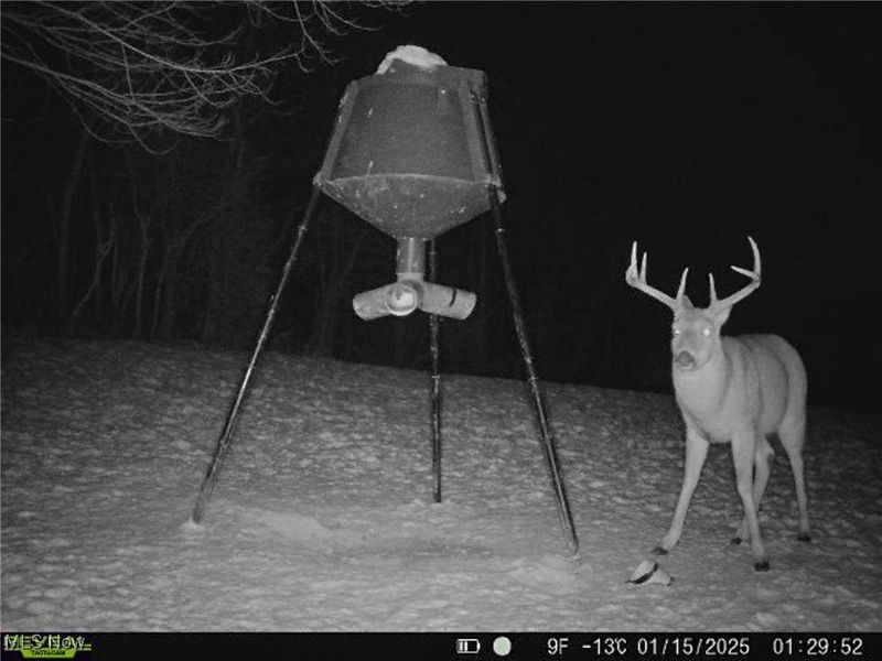 5230 Null Road, Coolville, OH 45723 Photo 42