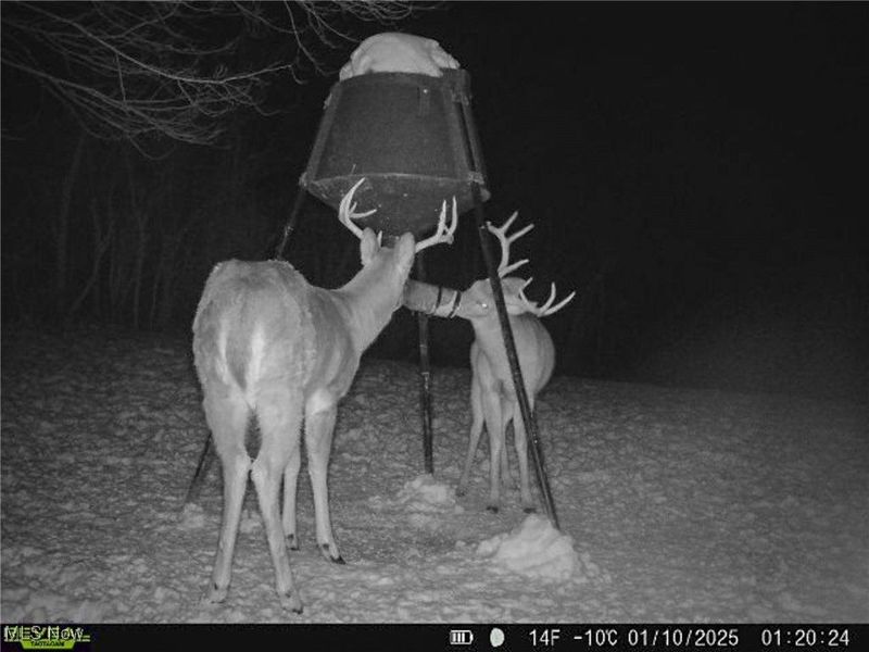 5230 Null Road, Coolville, OH 45723 Photo 43