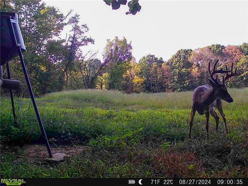 5230 Null Road, Coolville, OH 45723 Photo 45