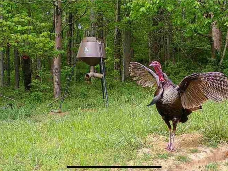 5230 Null Road, Coolville, OH 45723 Photo 5