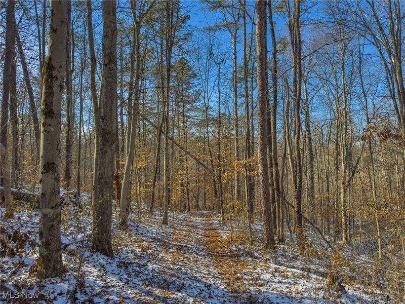 5230 Null Road, Coolville, OH 45723 Photo 8