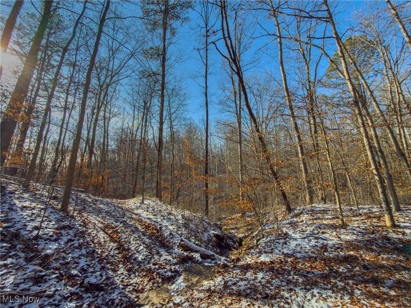 5230 Null Road, Coolville, OH 45723 Photo 9