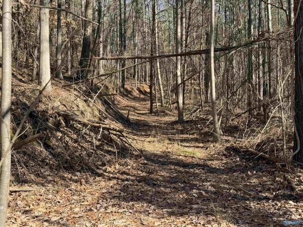 0 County Road 261 , Town Creek, AL 35672