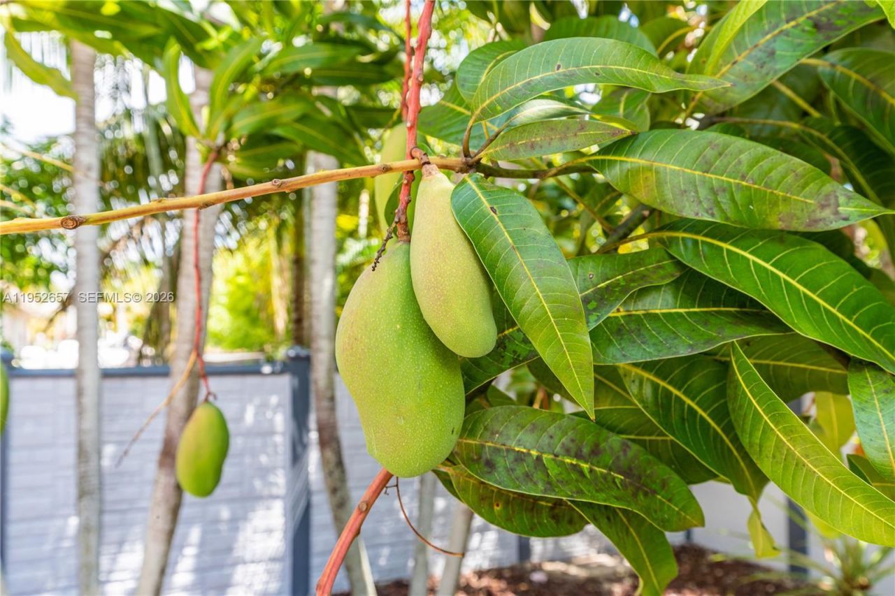 12969 SW 220th Ter , Miami, FL 33170 Photo