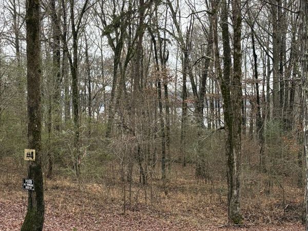 2160 Bruton Branch Rd, Savannah, TN 38372