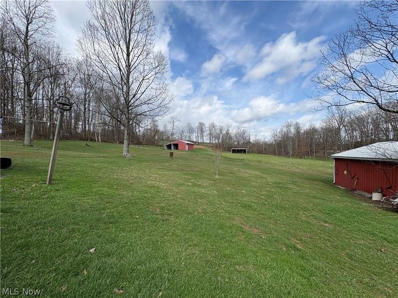 48175 Alt-Miller Hill, Beallsville, OH 43716 Photo 9