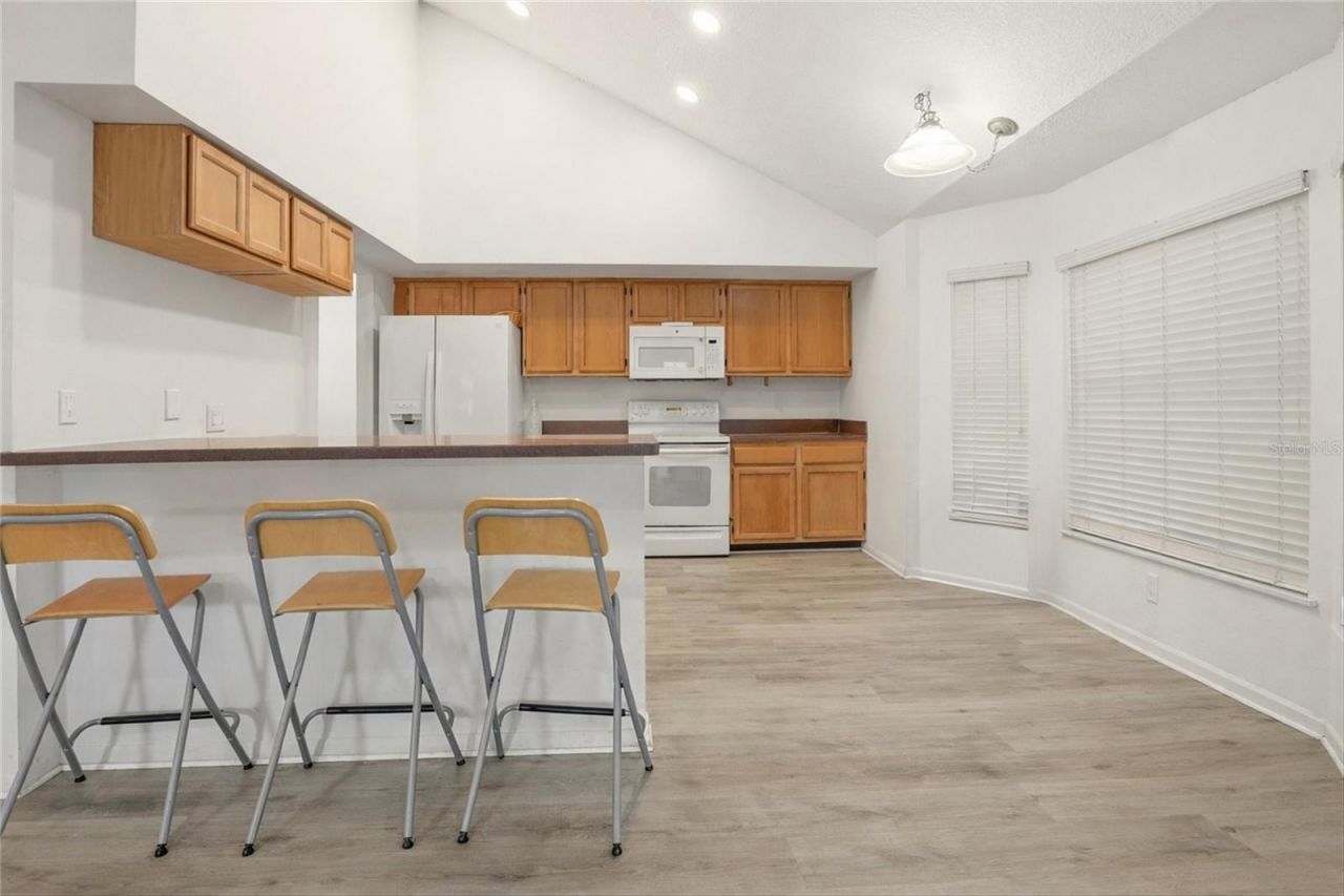 10402 Ashley Oaks Drive, Riverview, FL 33578 Photo
