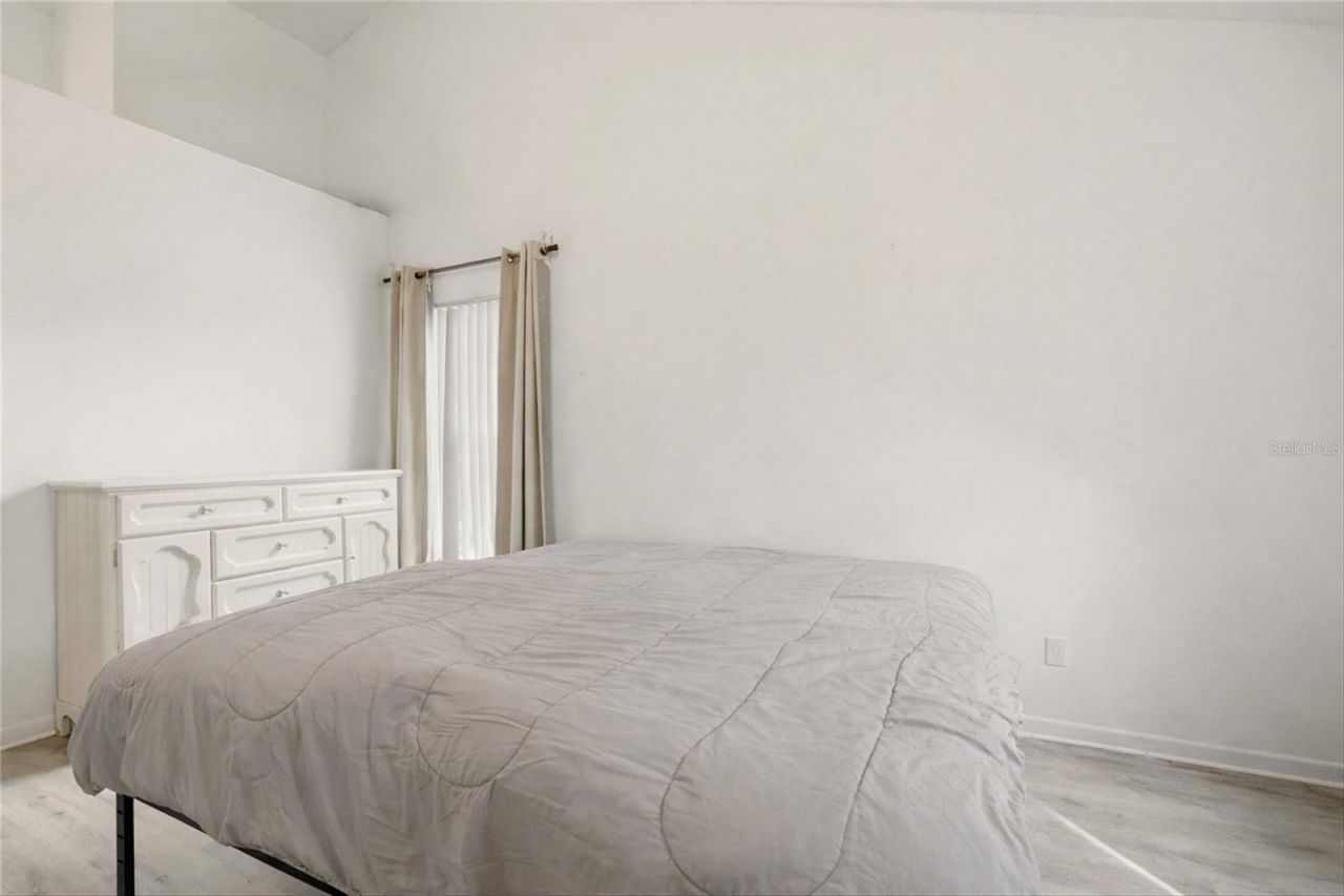 10402 Ashley Oaks Drive, Riverview, FL 33578 Photo