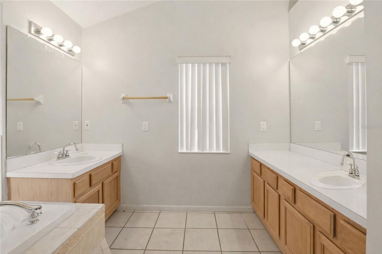 10402 Ashley Oaks Drive, Riverview, FL 33578 Photo
