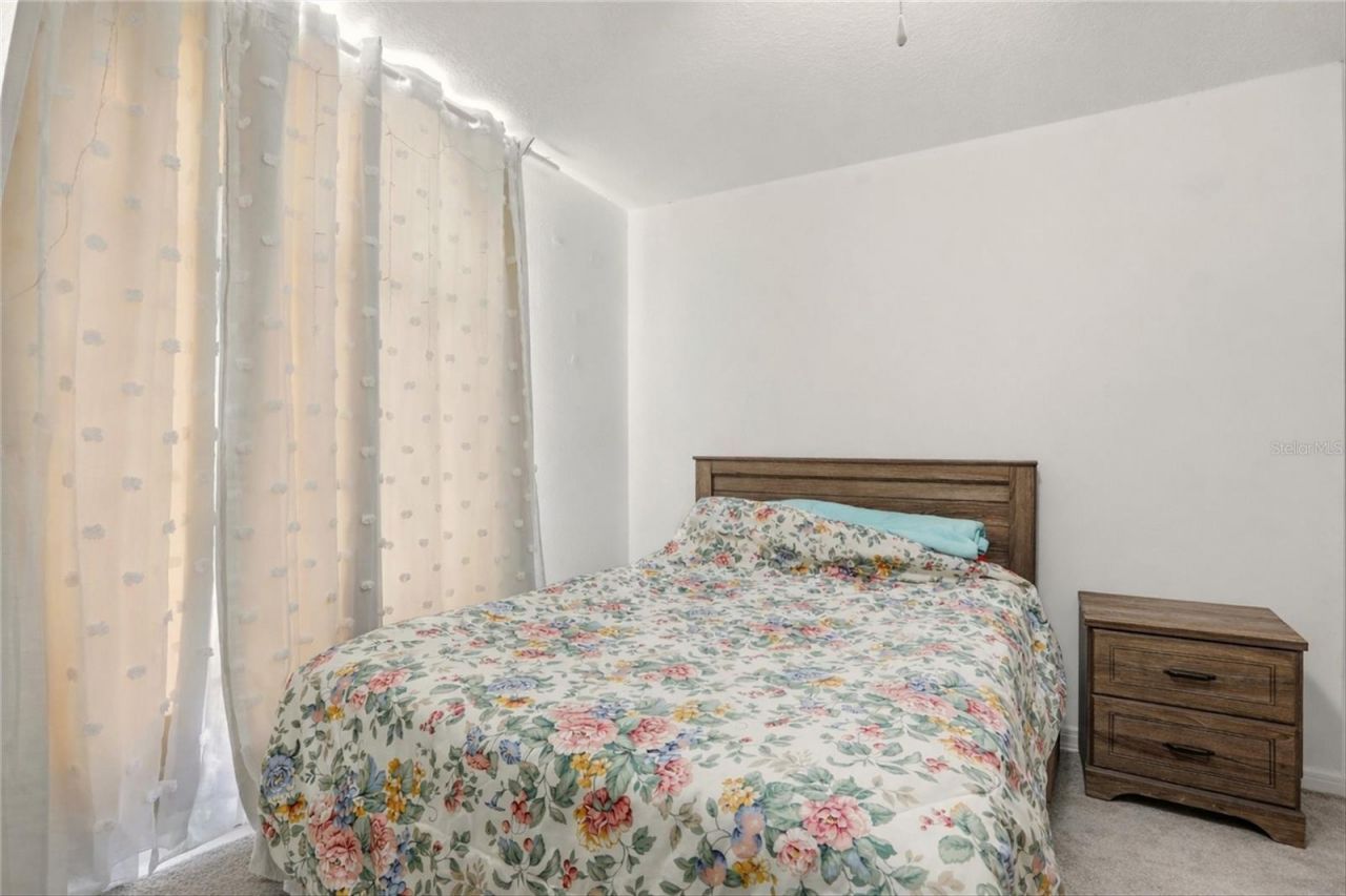 10402 Ashley Oaks Drive, Riverview, FL 33578 Photo