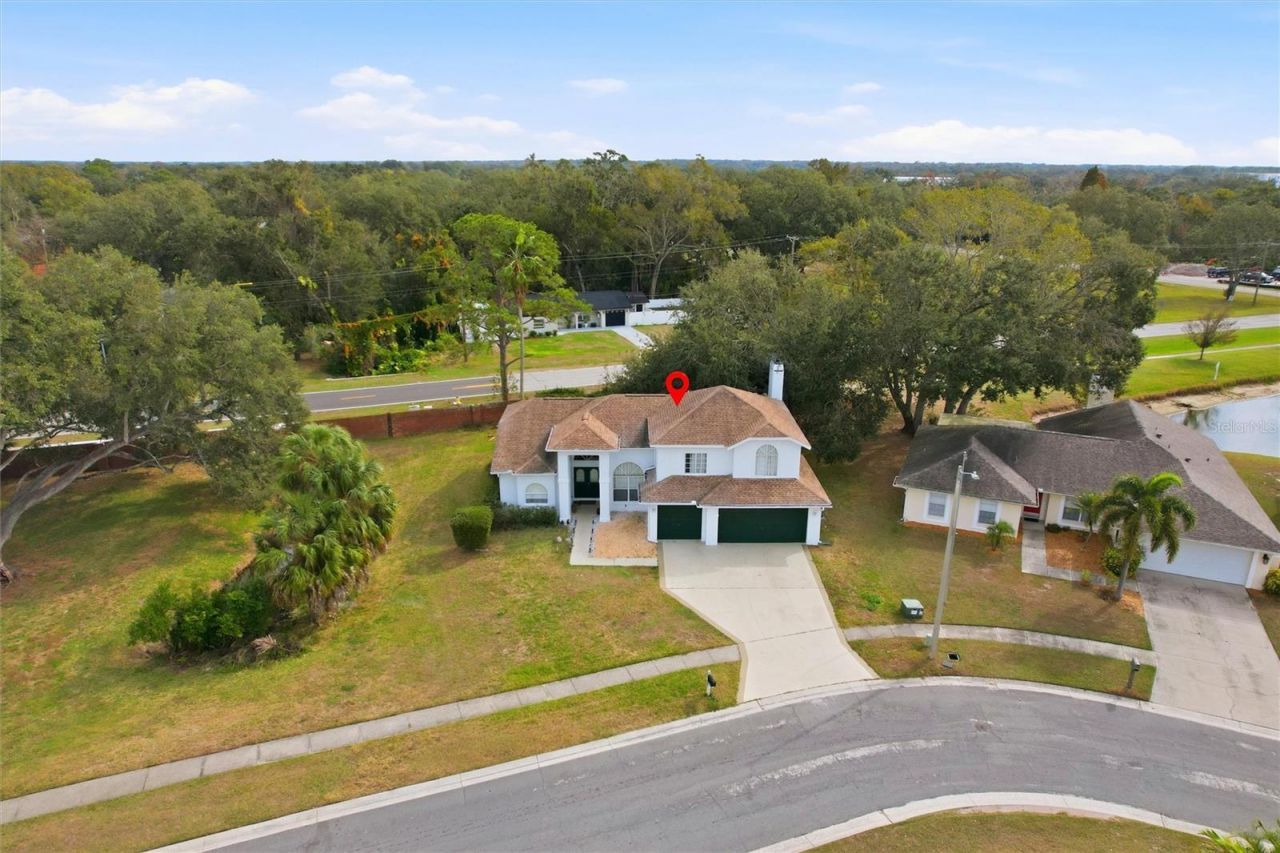 10402 Ashley Oaks Drive, Riverview, FL 33578 Photo