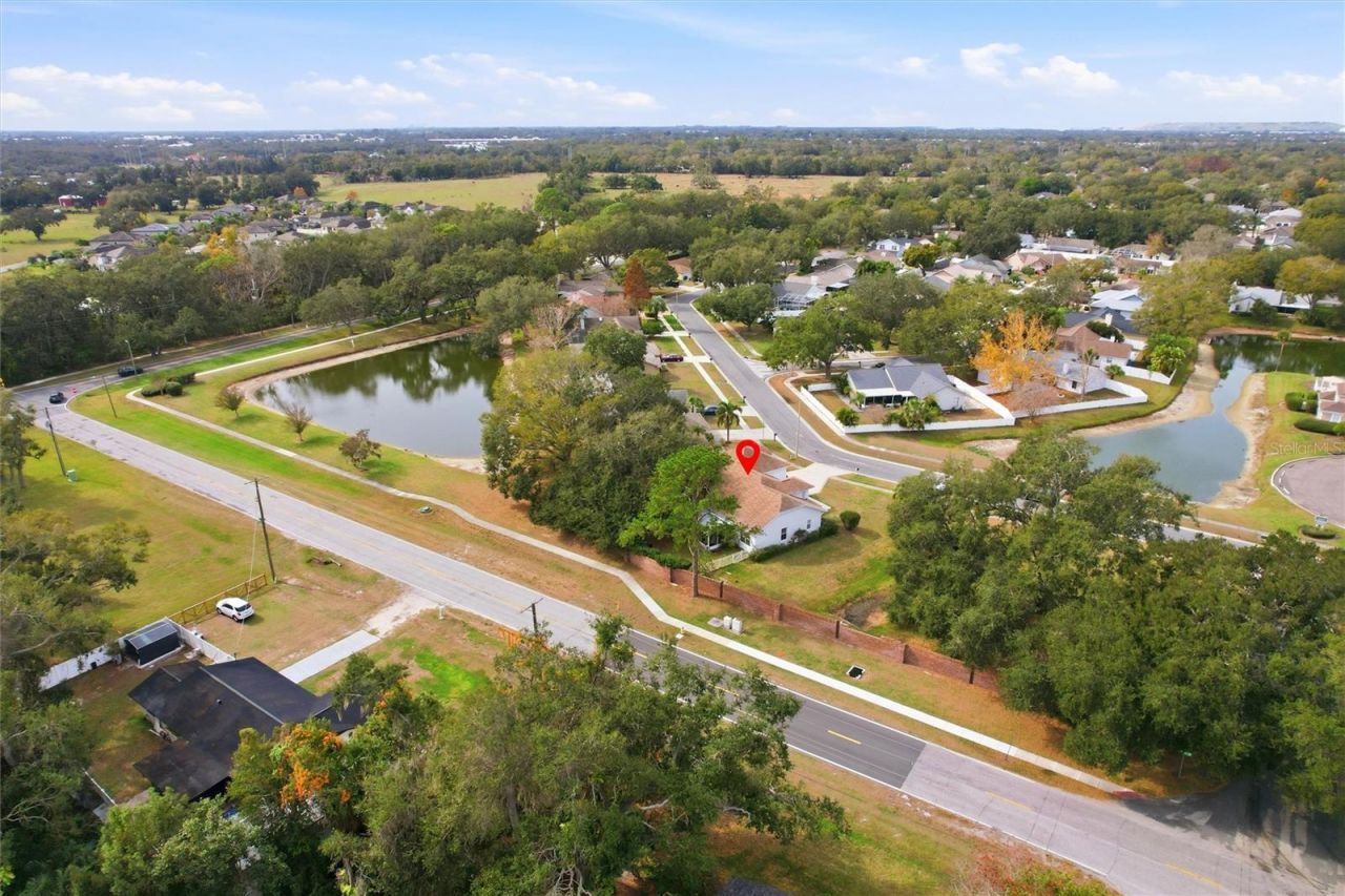 10402 Ashley Oaks Drive, Riverview, FL 33578 Photo