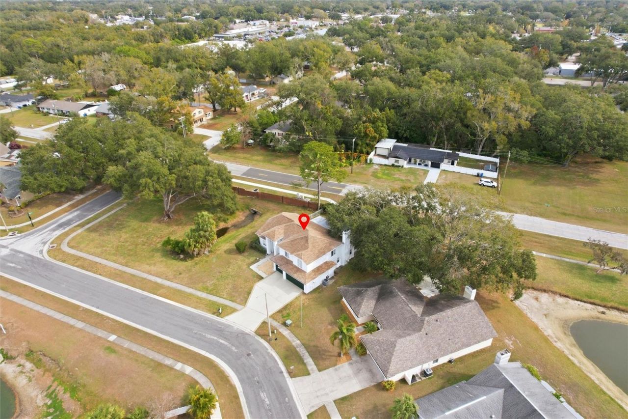 10402 Ashley Oaks Drive, Riverview, FL 33578 Photo