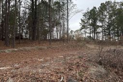 1626 Yankee Road  photo 4