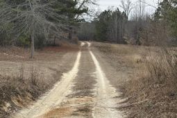 1626 Yankee Road  photo 4